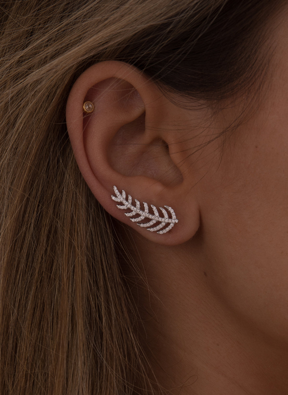 Boucles d'oreilles grimpeurs design feuille avec zircons