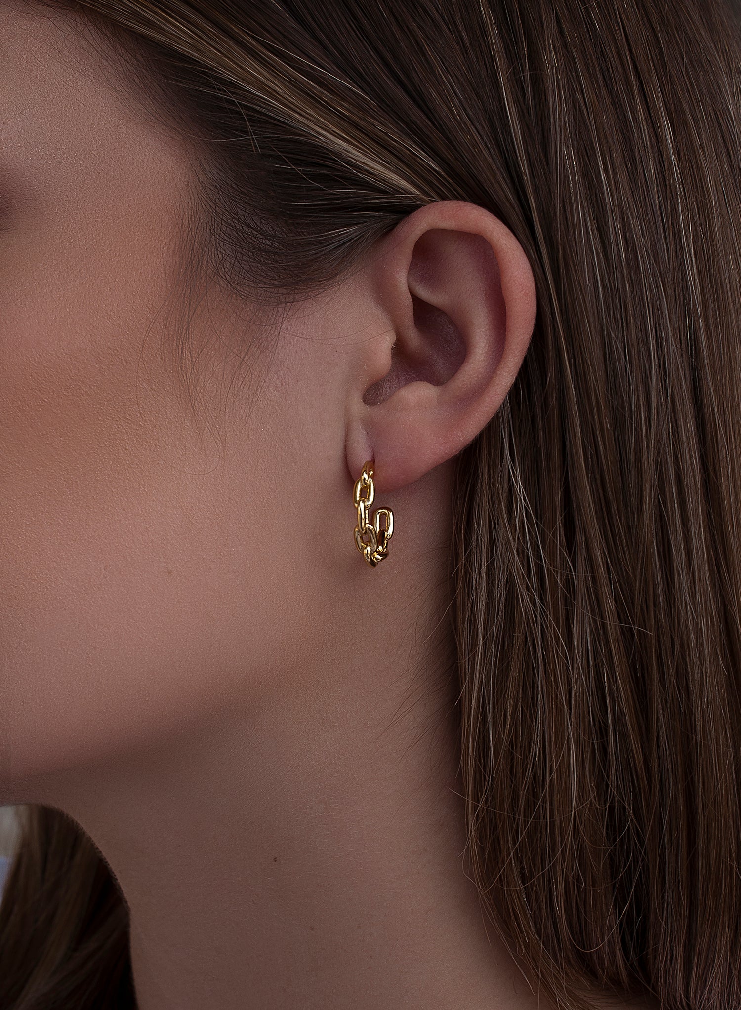 Small silver hoop earrings with gold link design