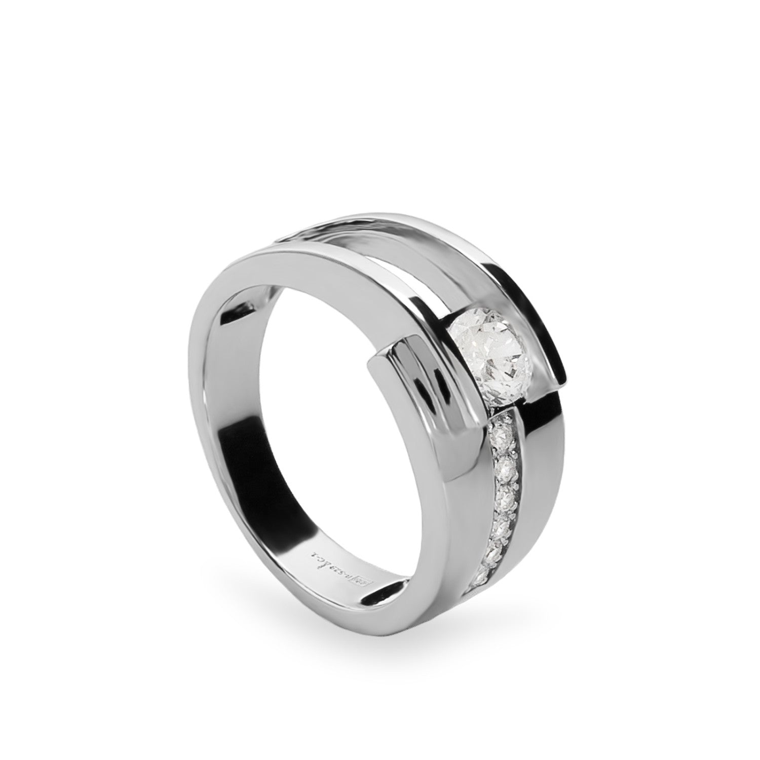 Anillos criconitas de plata con diseño elegante