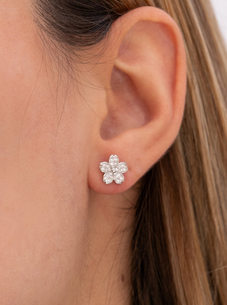 Boucles d'oreilles de petits de argent