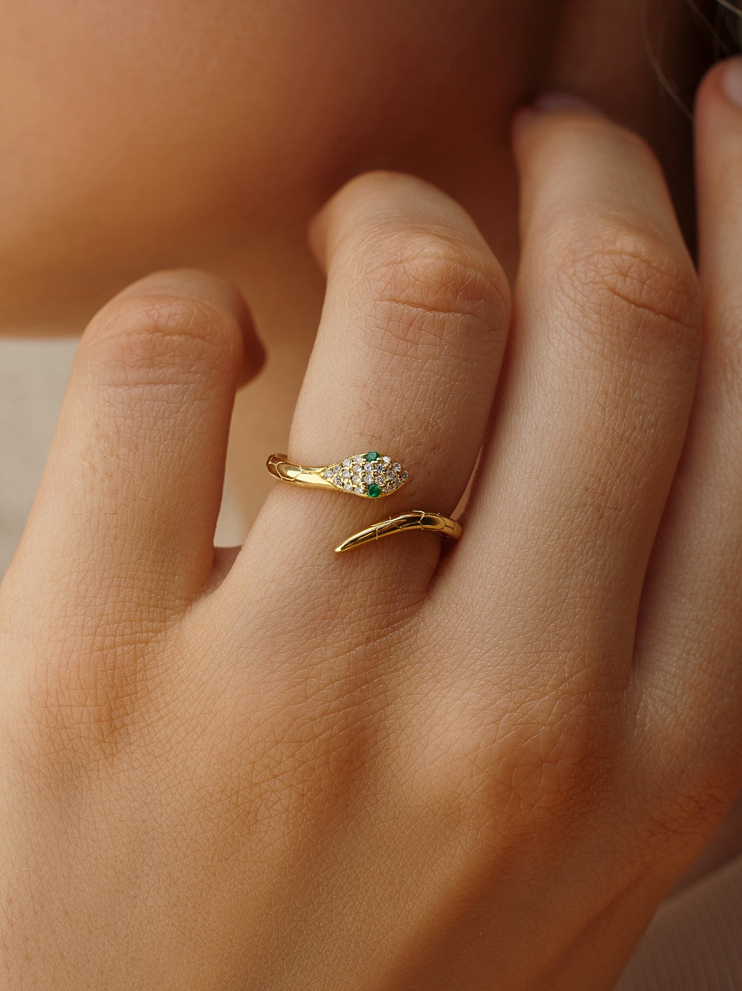 Anillos de diseño de plata silueta de serpiente-LINEARGENT