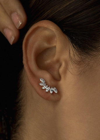 Pendientes trepadores