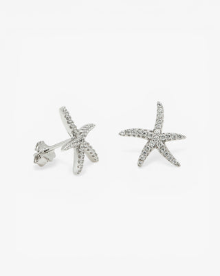 Petites boucles d'oreilles scintillantes à motif d'étoile de mer