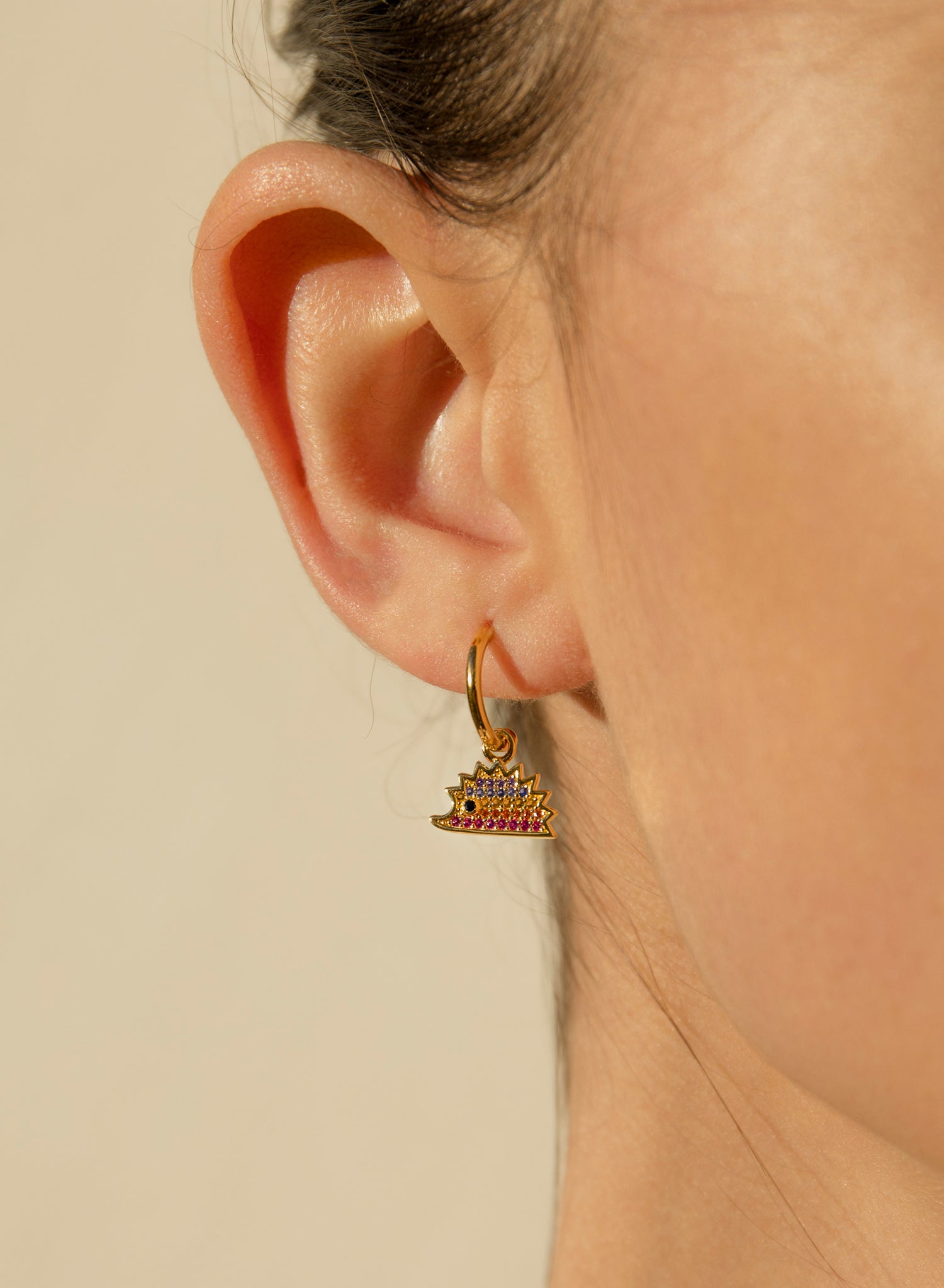 Hoop earrings with rainbow and hedgehog charm pendants