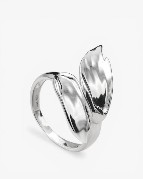 Double brushstroke design rings in smooth silver