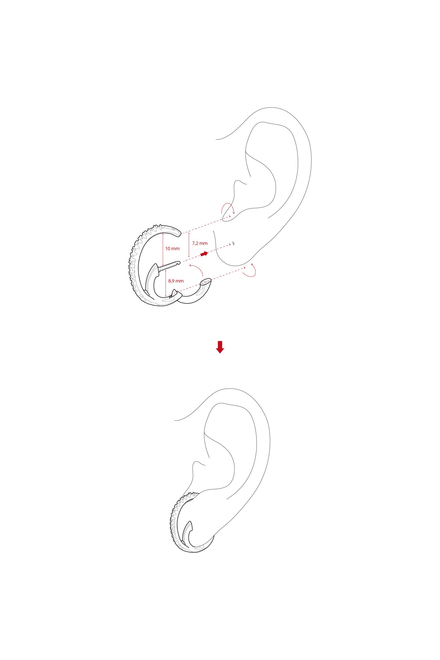 Pendientes aros originales soporte antitrago diseño espiral circonita