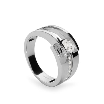 Anillos criconitas de plata con diseño elegante