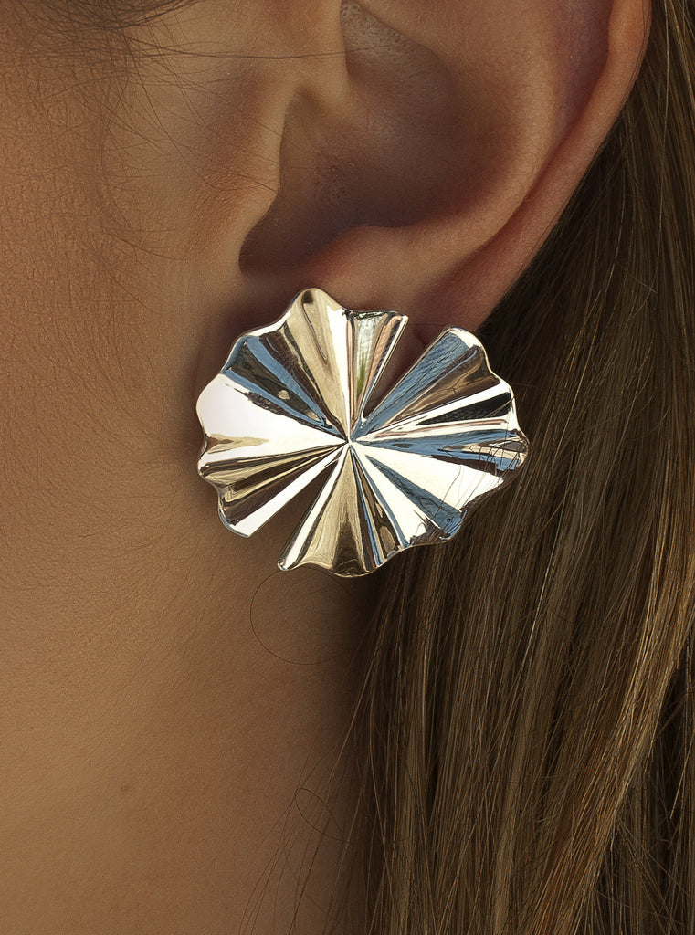 Original silver earrings with a nature design