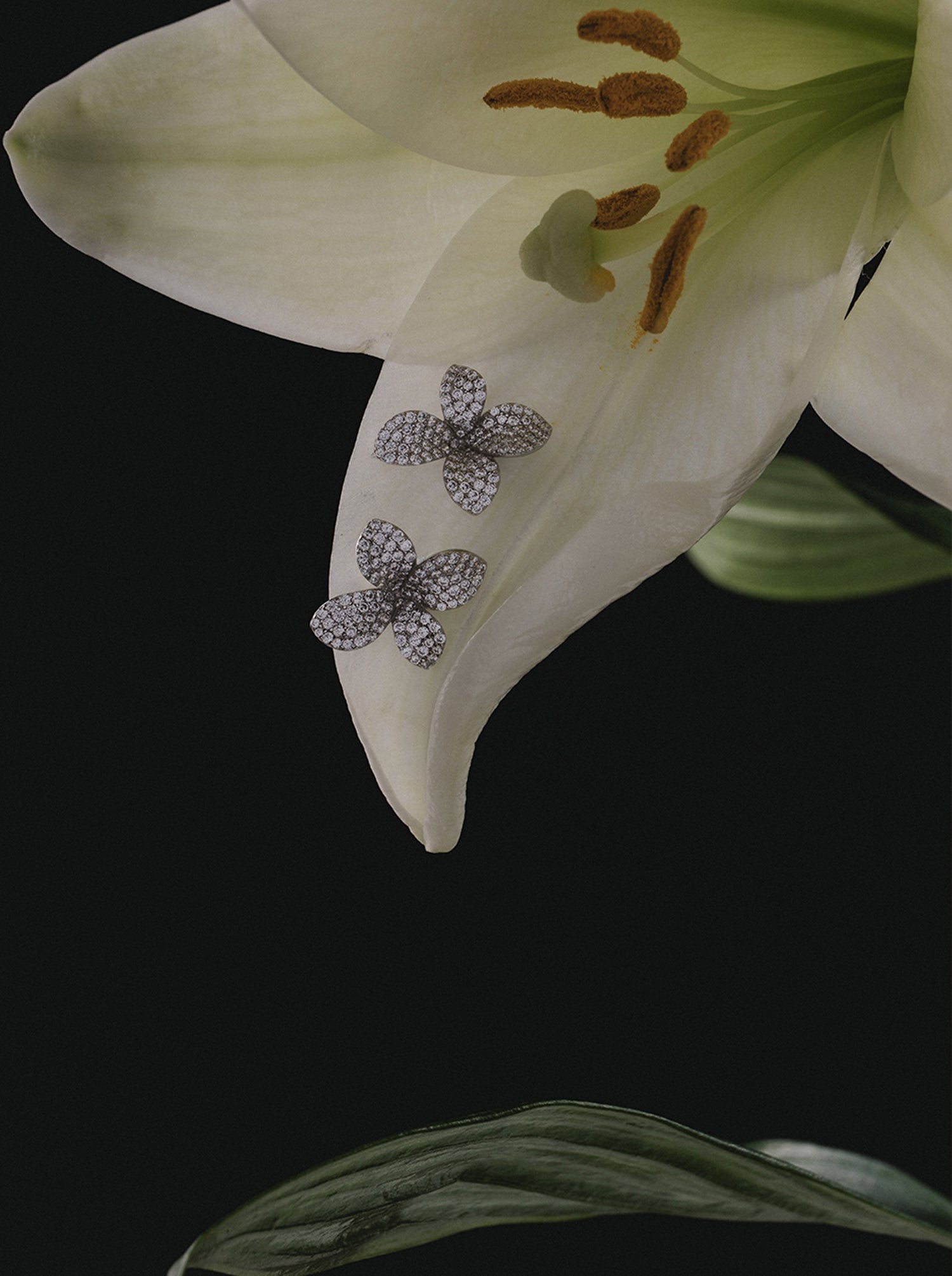 LINEARGENT_COTTON_FLORES_2_90941297-eb62-42b9-9e1f-7f654dee77b1