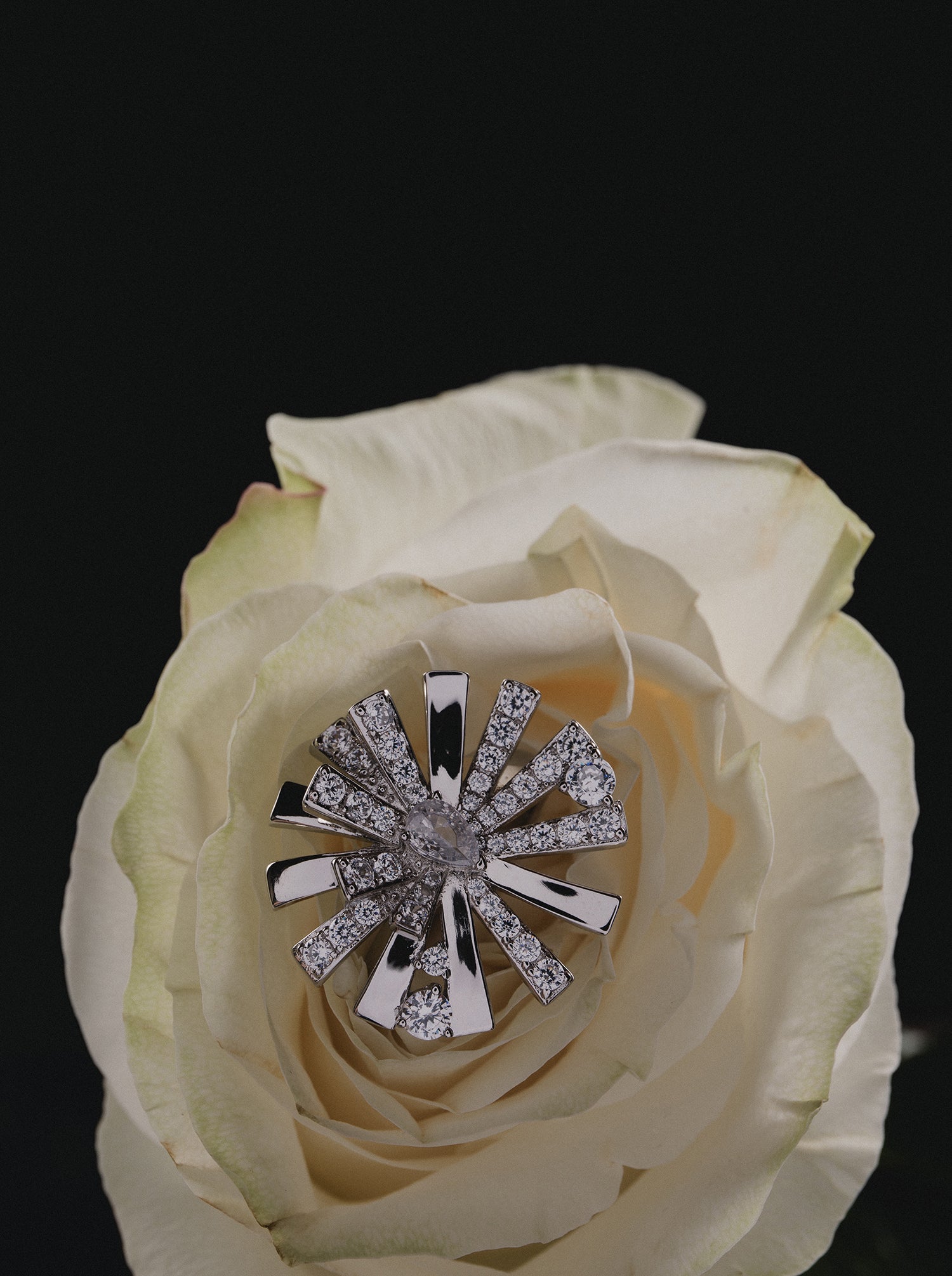 LINEARGENT_COTTON_FLORES_8_529d080a-9555-4fb8-9a1f-81b0dd613891