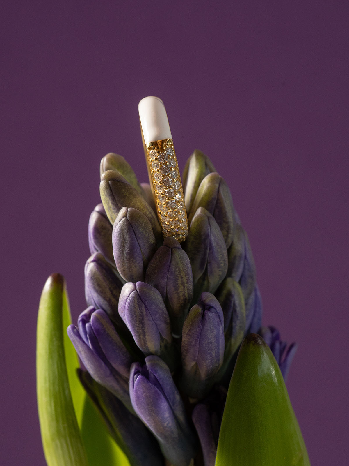 lineargent_velvet_chunky_5